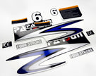Vinyl graphic decals set suitable for Parsun 6 hp four stroke outboard engine. Vinyl stickers kit for Parsun 6 hp four stroke Handmade