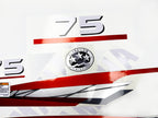 Vinyl graphic metalized silver red decals set suitable for Yamaha 75 hp two stroke outboard engine. Vinyl stickers kit for Yamaha 75 hp two stroke Handmade