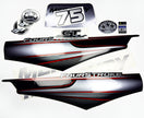 Vinyl graphic silver shimmer decals set suitable for Mercury 75 hp four stroke outboard engine. Vinyl silver shimmer stickers kit for Mercury 75 hp four stroke Handmade