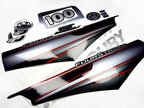 Vinyl graphic silver shimmer decals set suitable for Mercury 100 hp four stroke outboard engine. Vinyl silver shimmer stickers kit for Mercury 100 hp four stroke Handmade