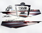 Vinyl graphic silver shimmer decals set suitable for Mercury 100 hp four stroke outboard engine. Vinyl silver shimmer stickers kit for Mercury 100 hp four stroke Handmade