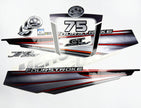 Vinyl graphic silver shimmer decals set suitable for Mercury 75 hp four stroke outboard engine. Vinyl silver shimmer stickers kit for Mercury 75 hp four stroke Handmade