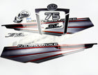Vinyl graphic silver shimmer decals set suitable for Mercury 75 hp four stroke outboard engine. Vinyl silver shimmer stickers kit for Mercury 75 hp four stroke Handmade