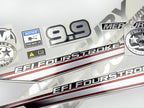 Vinyl graphic silver shimmer decals set suitable for Mercury 9.9 hp four stroke EFI outboard engine. Vinyl silver shimmer stickers kit for Mercury 9.9 hp four stroke Handmade