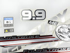 Vinyl graphic silver shimmer decals set suitable for Mercury 9.9 hp four stroke outboard engine. Vinyl silver shimmer stickers kit for Mercury 9.9 hp four stroke Handmade