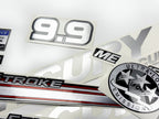 Vinyl graphic silver shimmer decals set suitable for Mercury 9.9 hp four stroke outboard engine. Vinyl silver shimmer stickers kit for Mercury 9.9 hp four stroke Handmade