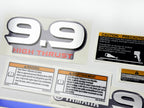 Vinyl graphic metalized silver decals set suitable for Yamaha 9.9 hp four stroke high thrust outboard engine. Vinyl stickers kit for Yamaha 9.9 hp four stroke Handmade