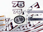 Vinyl graphic decals set suitable for Evinrude 75 hp two stroke outboard engine for blue cover cowling . Vinyl stickers kit for Ewinrude 75 hp two stroke Handmade