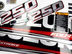 Vinyl graphic silver metalized shimmer decals set suitable for Suzuki 250 hp four stroke outboard engine. Vinyl stickers kit for suzuki 250 hp four stroke Handmade