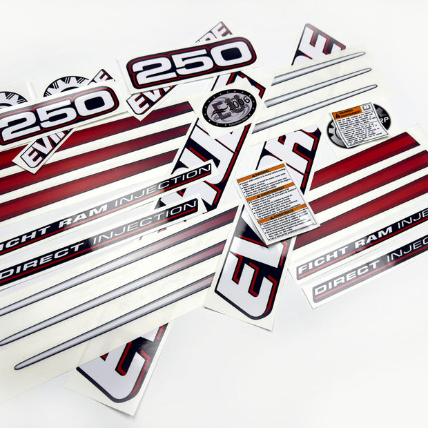 Vinyl graphic decals set suitable for Evinrude 250 hp direct injection outboard engine for blue cover cowling . Vinyl stickers kit for Ewinrude 250 Handmade