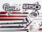 Vinyl graphic decals set suitable for Evinrude 250 hp direct injection outboard engine for blue cover cowling . Vinyl stickers kit for Ewinrude 250 Handmade