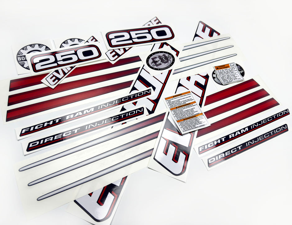 Vinyl graphic decals set suitable for Evinrude 250 hp direct injection outboard engine for blue cover cowling . Vinyl stickers kit for Ewinrude 250 Handmade