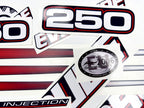 Vinyl graphic decals set suitable for Evinrude 250 hp direct injection outboard engine for blue cover cowling . Vinyl stickers kit for Ewinrude 250 Handmade