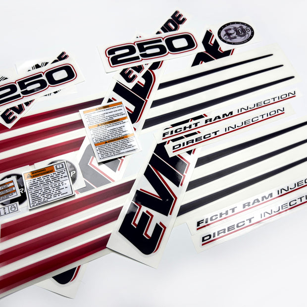Vinyl graphic decals set suitable for Evinrude 250 hp direct injection outboard engine for white cover cowling . Vinyl stickers kit for Ewinrude 250 Handmade