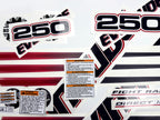 Vinyl graphic decals set suitable for Evinrude 250 hp direct injection outboard engine for white cover cowling . Vinyl stickers kit for Ewinrude 250 Handmade