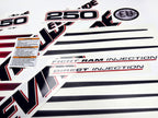 Vinyl graphic decals set suitable for Evinrude 250 hp direct injection outboard engine for white cover cowling . Vinyl stickers kit for Ewinrude 250 Handmade