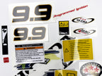Vinyl graphic decals set suitable for Honda 9.9 hp four stroke outboard engine. Vinyl stickers kit for Honda 9.9 hp four stroke Handmade