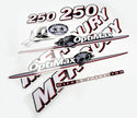 Vinyl graphic red and white decals set suitable for Mercury 250 hp OptiMax two stroke outboard engine. Vinyl red stickers kit for Mercury 250 hp two stroke Handmade