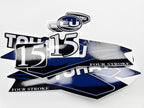 Vinyl graphic decals set suitable for Tohatsu 15 hp four stroke outboard engine. Vinyl stickers kit for Tohatsu 15 hp four stroke Handmade